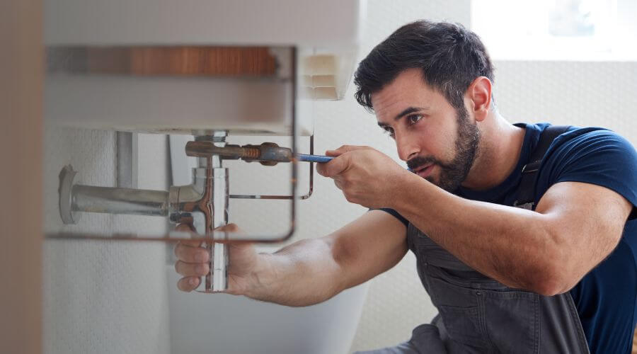 Trap Repair/Replacement in Newman Lake, WA